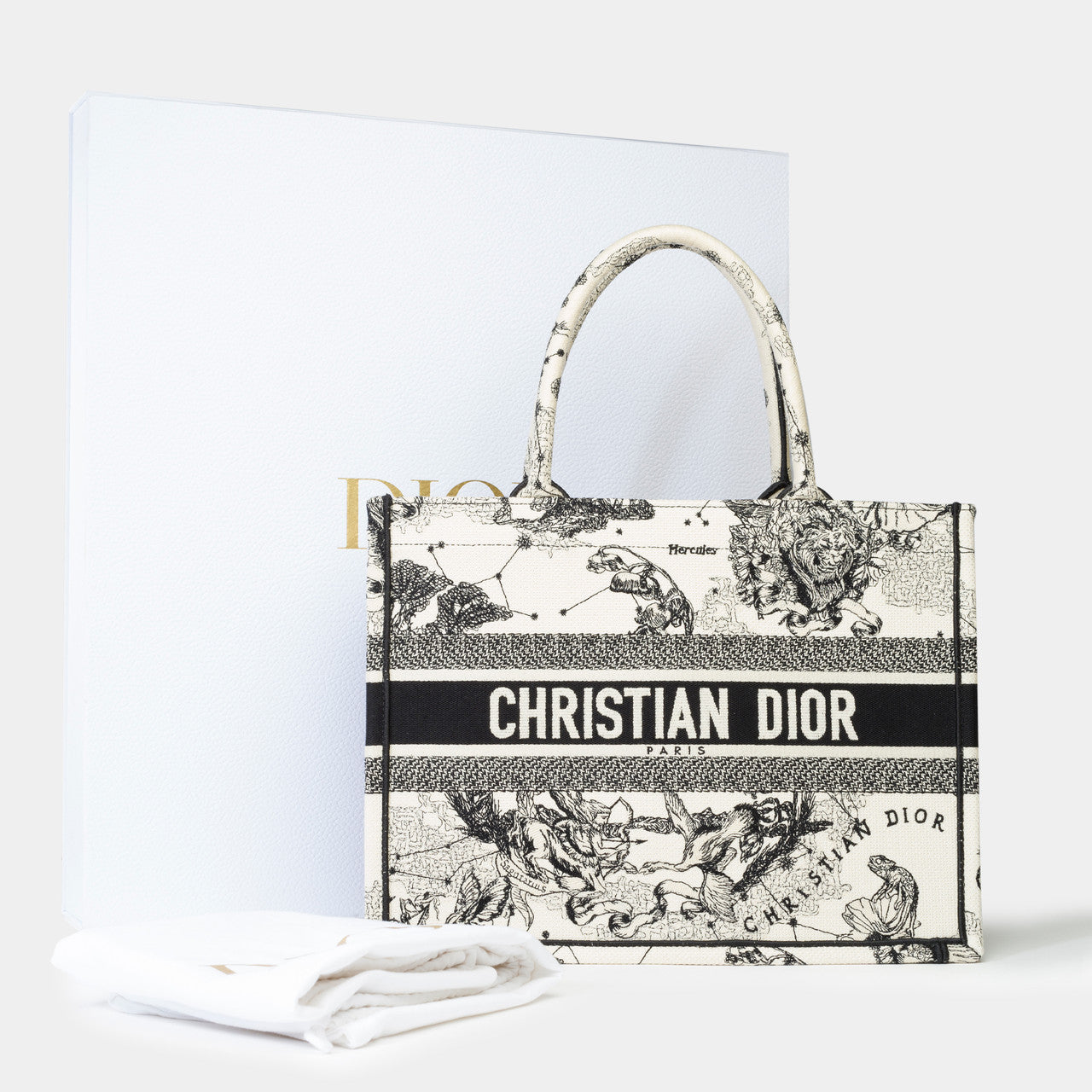 Sac DIOR Book Tote en Toile Blanc - 102258