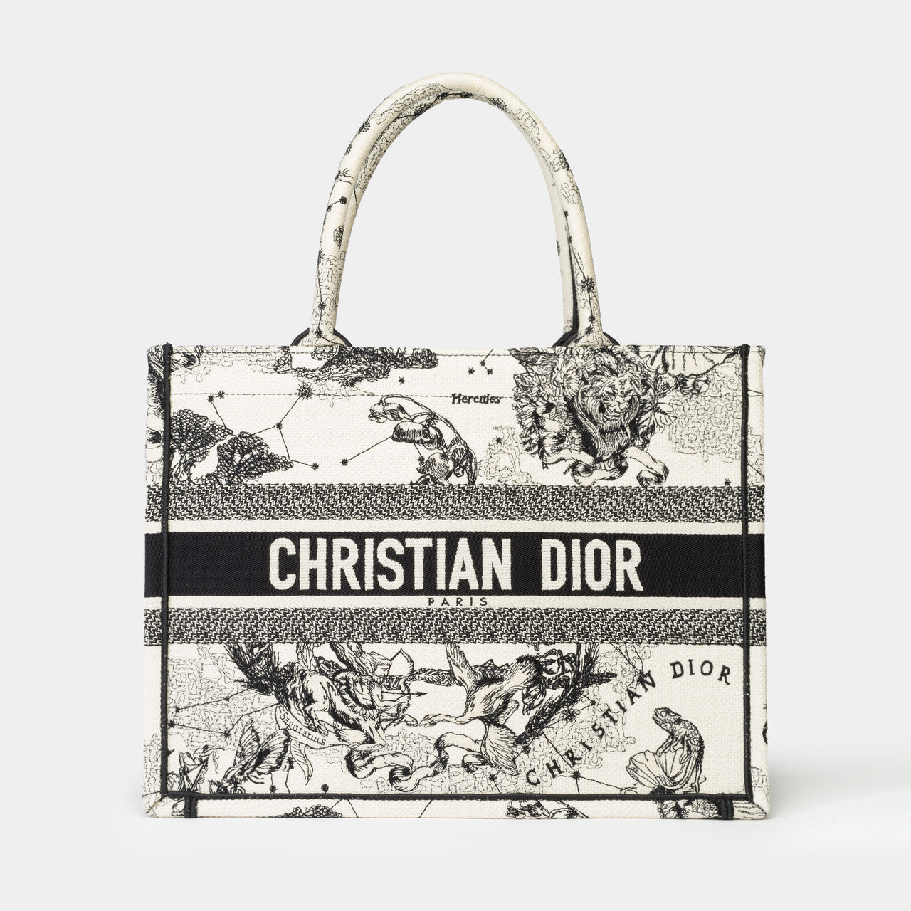 Sac DIOR Book Tote en Toile Blanc - 102258