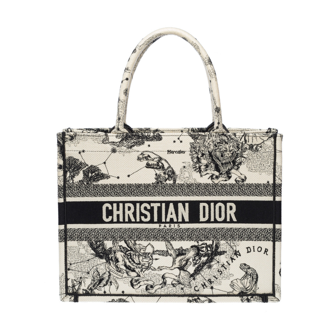 Sac DIOR Book Tote en Toile Blanc - 102258