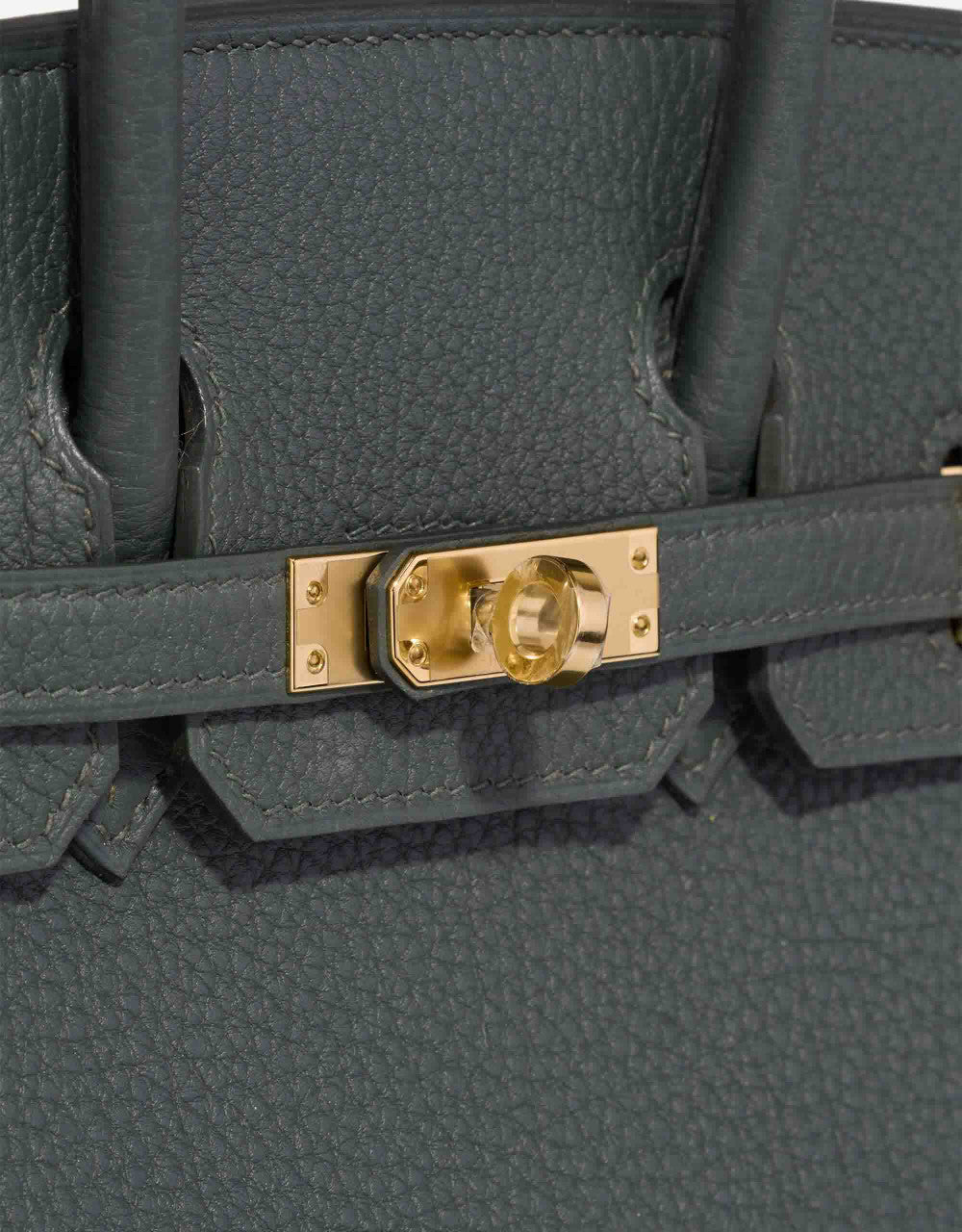Sac HERMES Birkin 25 en Cuir Vert - 102984