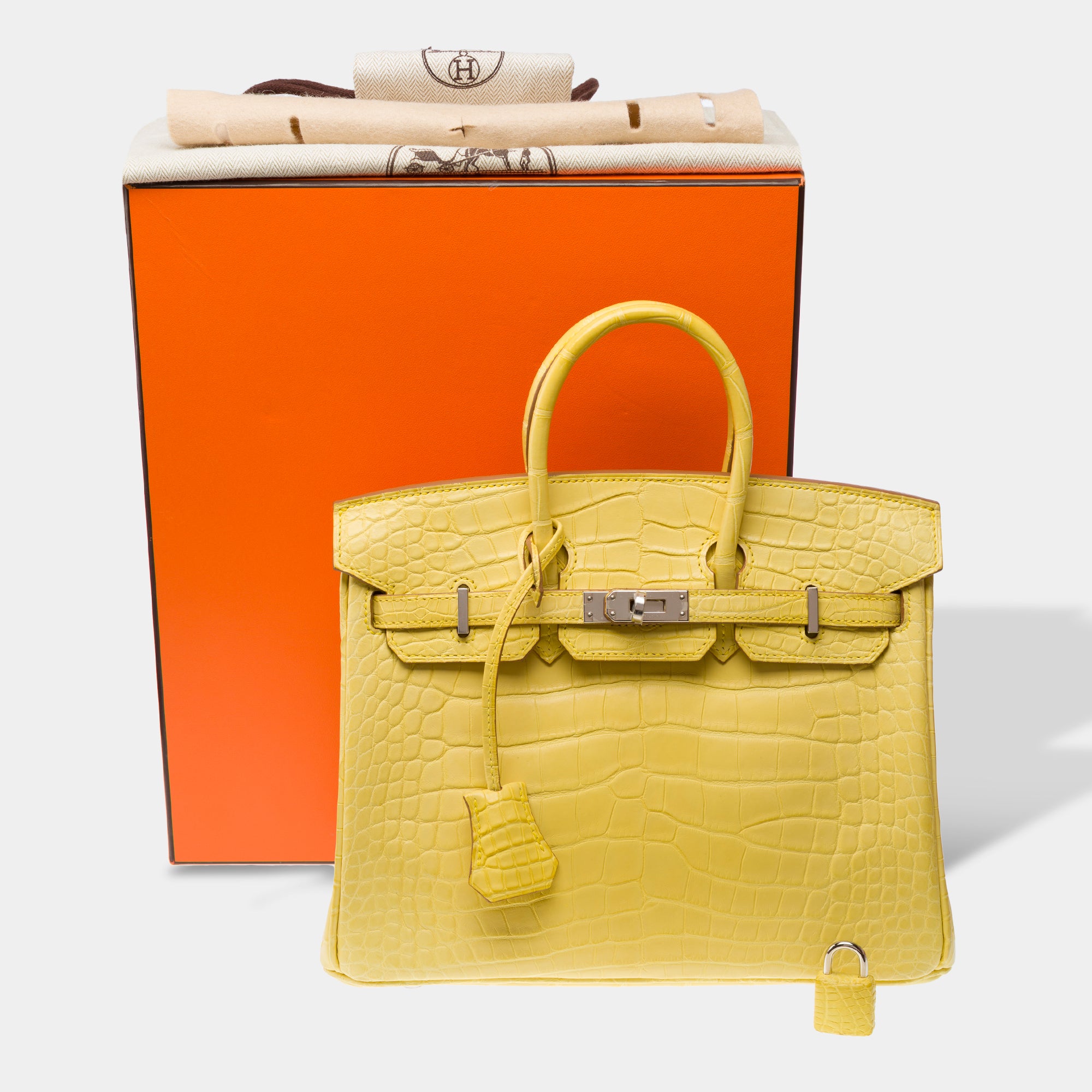 Sac HERMES Birkin 25 en Cuirs exotiques Jaune - 103220