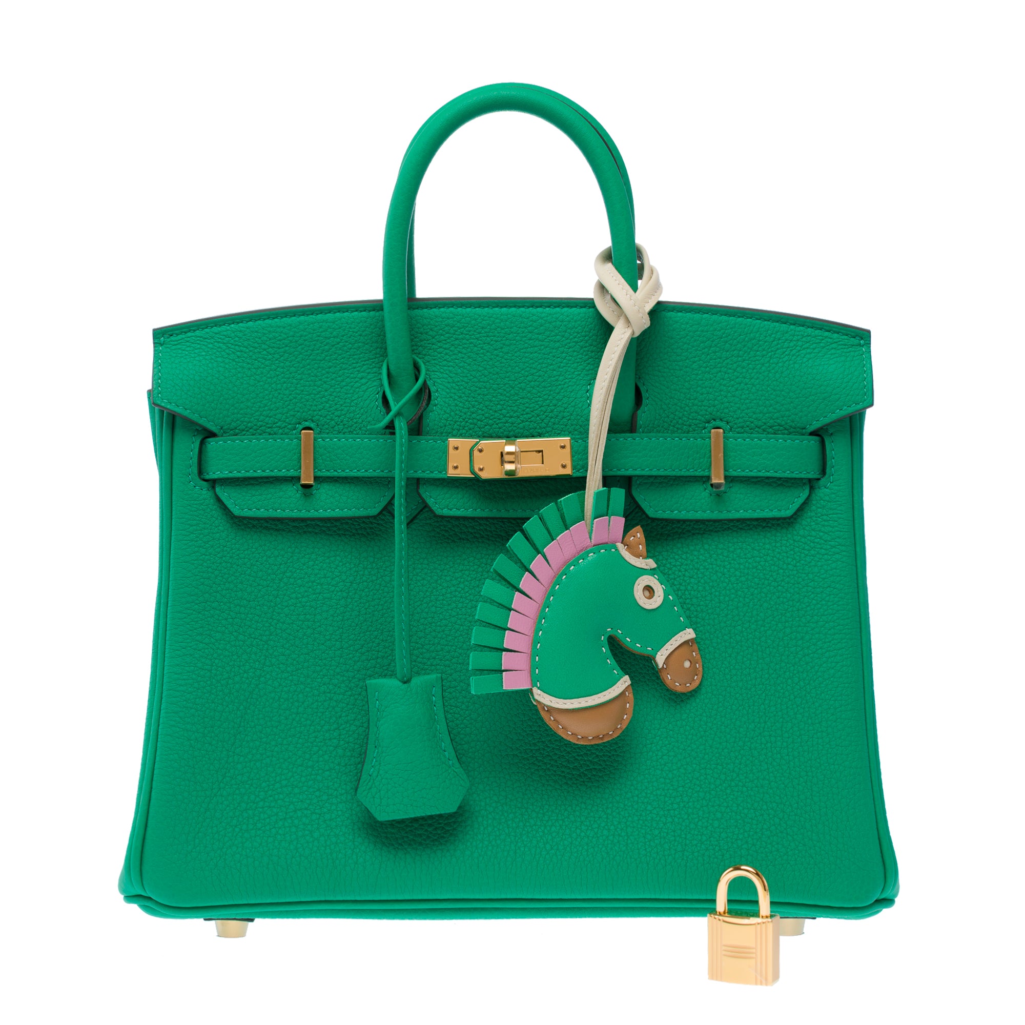 Sac HERMES Birkin 25 en Cuir Vert - 103385