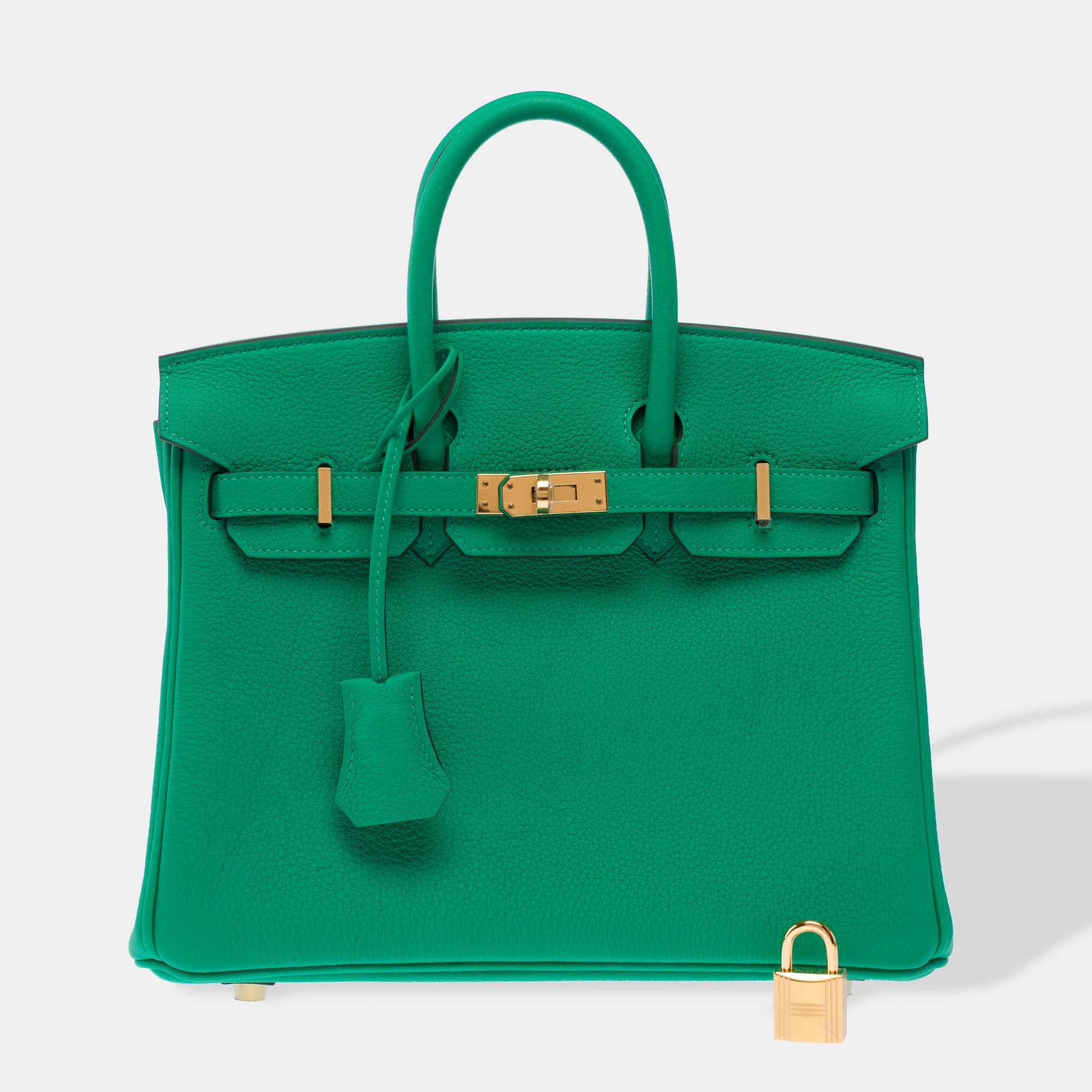 Sac HERMES Birkin 25 en Cuir Vert - 103385