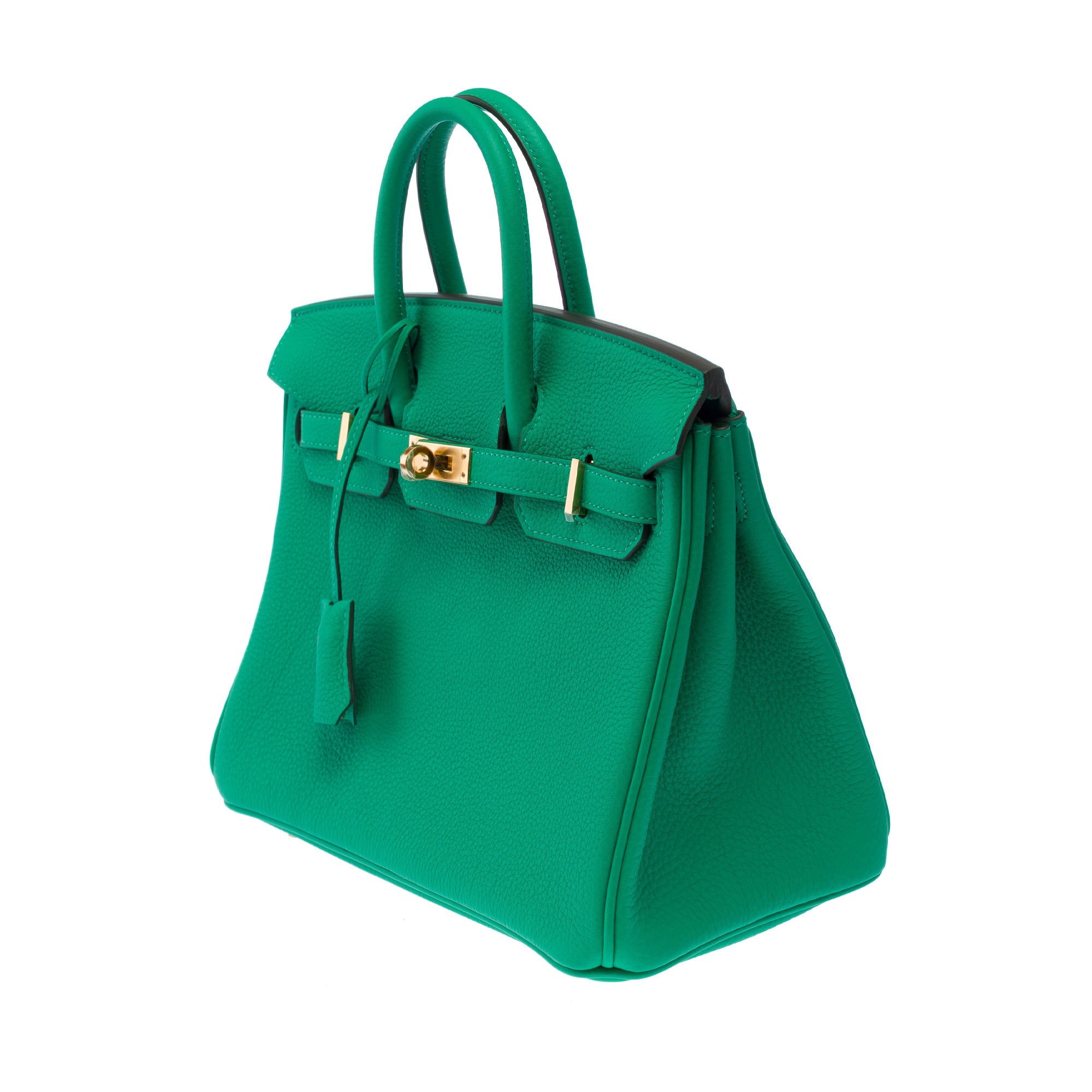 Sac HERMES Birkin 25 en Cuir Vert - 103385