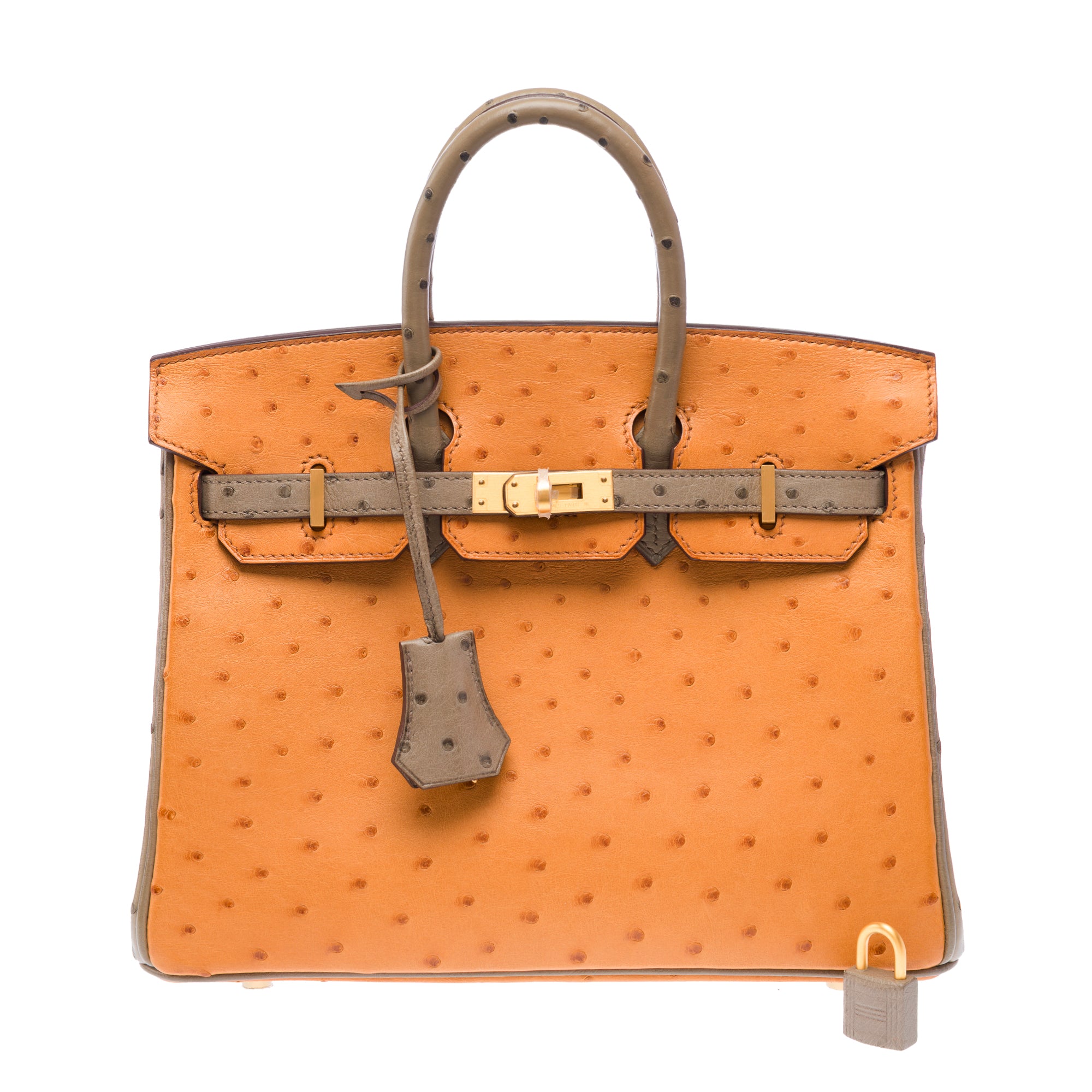 Sac HERMES Birkin 25 en Cuirs exotiques Marron - 103410