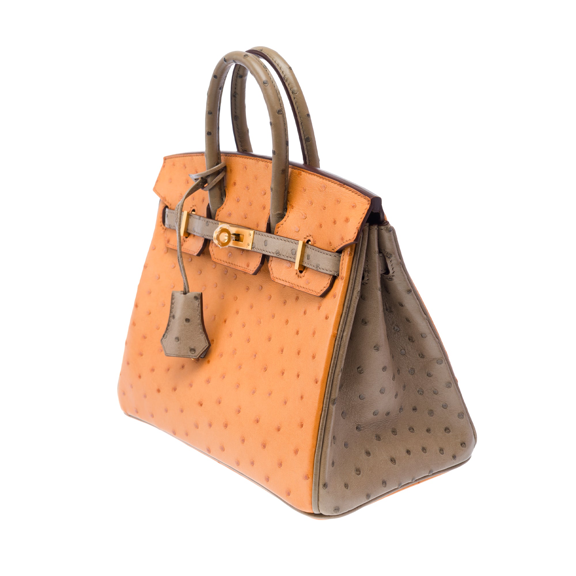 Sac HERMES Birkin 25 en Cuirs exotiques Marron - 103410
