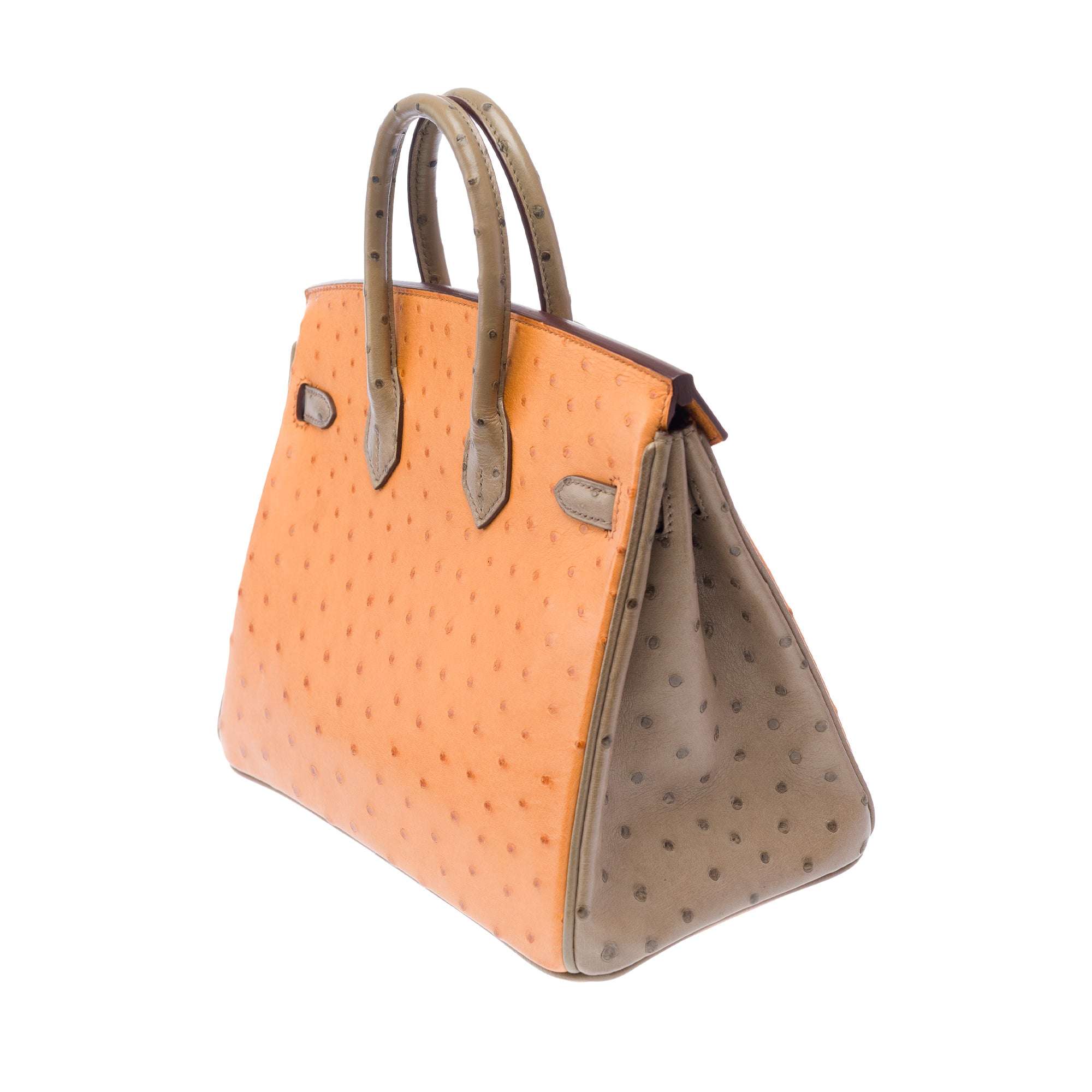 Sac HERMES Birkin 25 en Cuirs exotiques Marron - 103410
