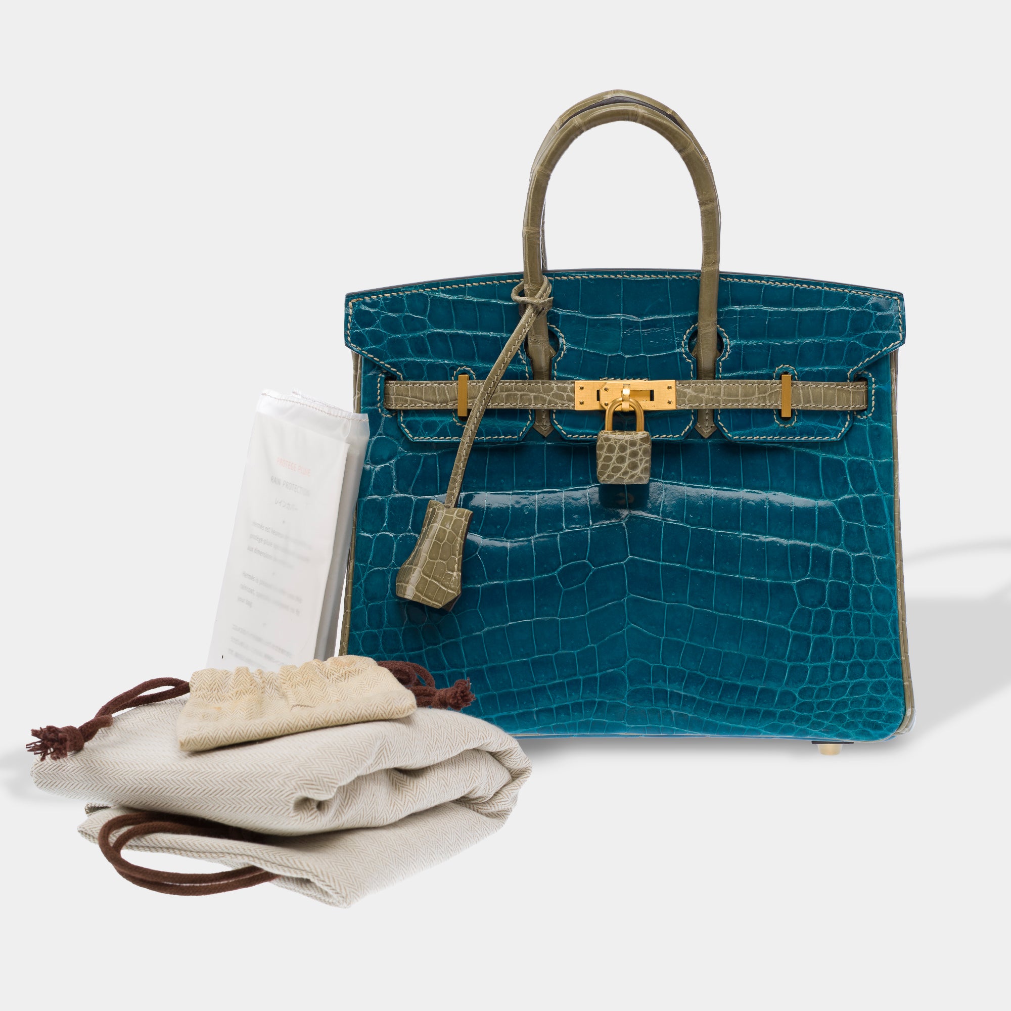 Sac HERMES Birkin 25 en Cuirs exotiques Gris - 102990