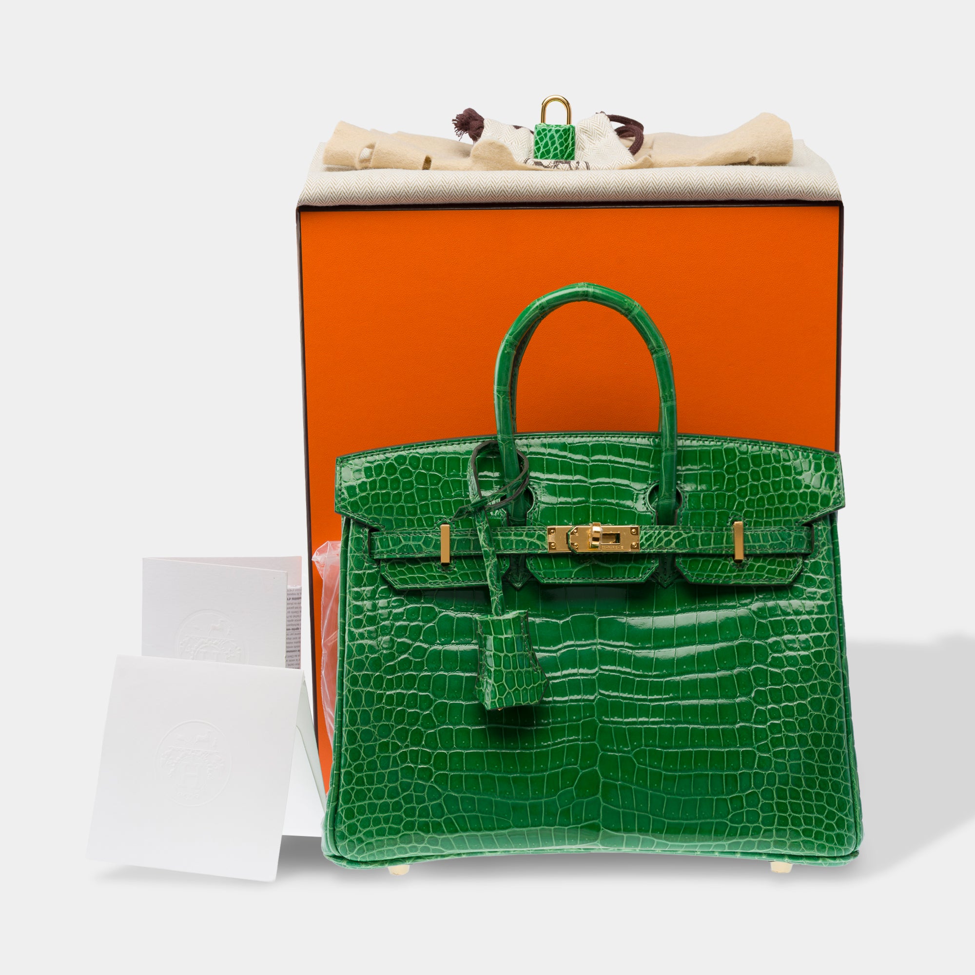 Sac HERMES Birkin 25 en Cuirs exotiques Vert - 103879