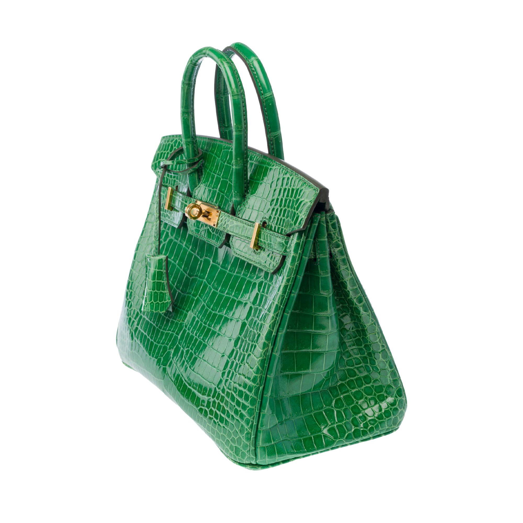 Sac HERMES Birkin 25 en Cuirs exotiques Vert - 103879
