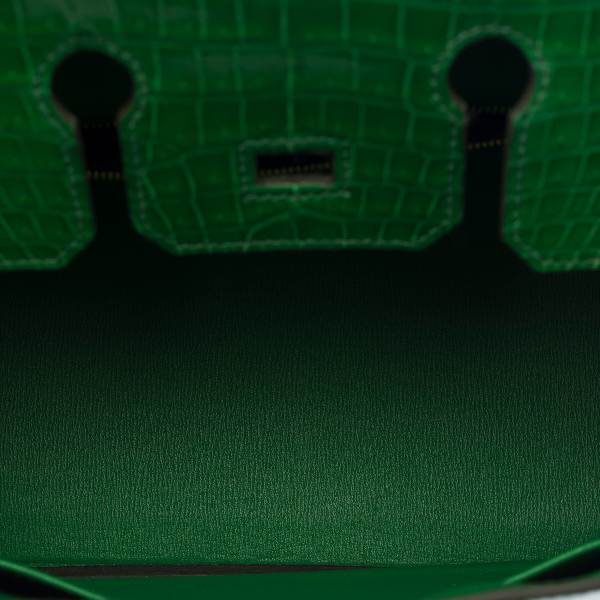 Sac HERMES Birkin 25 en Cuirs exotiques Vert - 103879