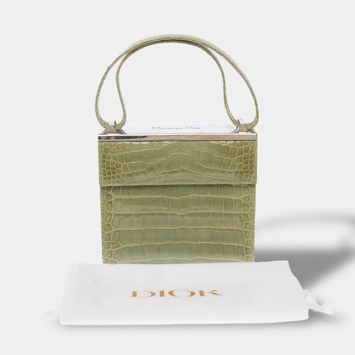 Sac DIOR en Cuirs exotiques Vert - 104029