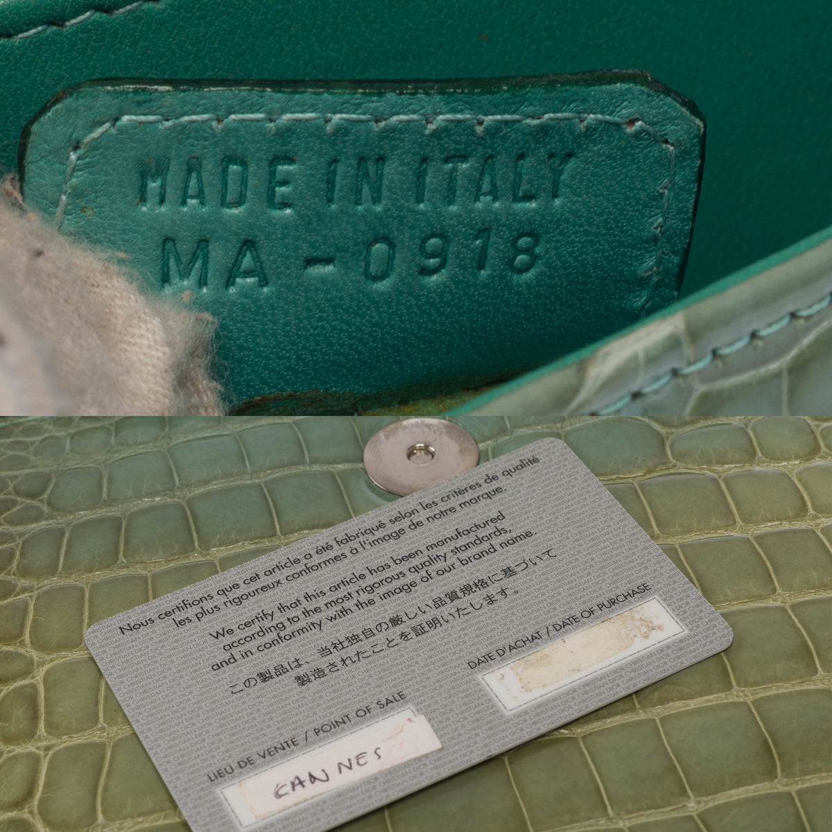 Sac DIOR en Cuirs exotiques Vert - 104029