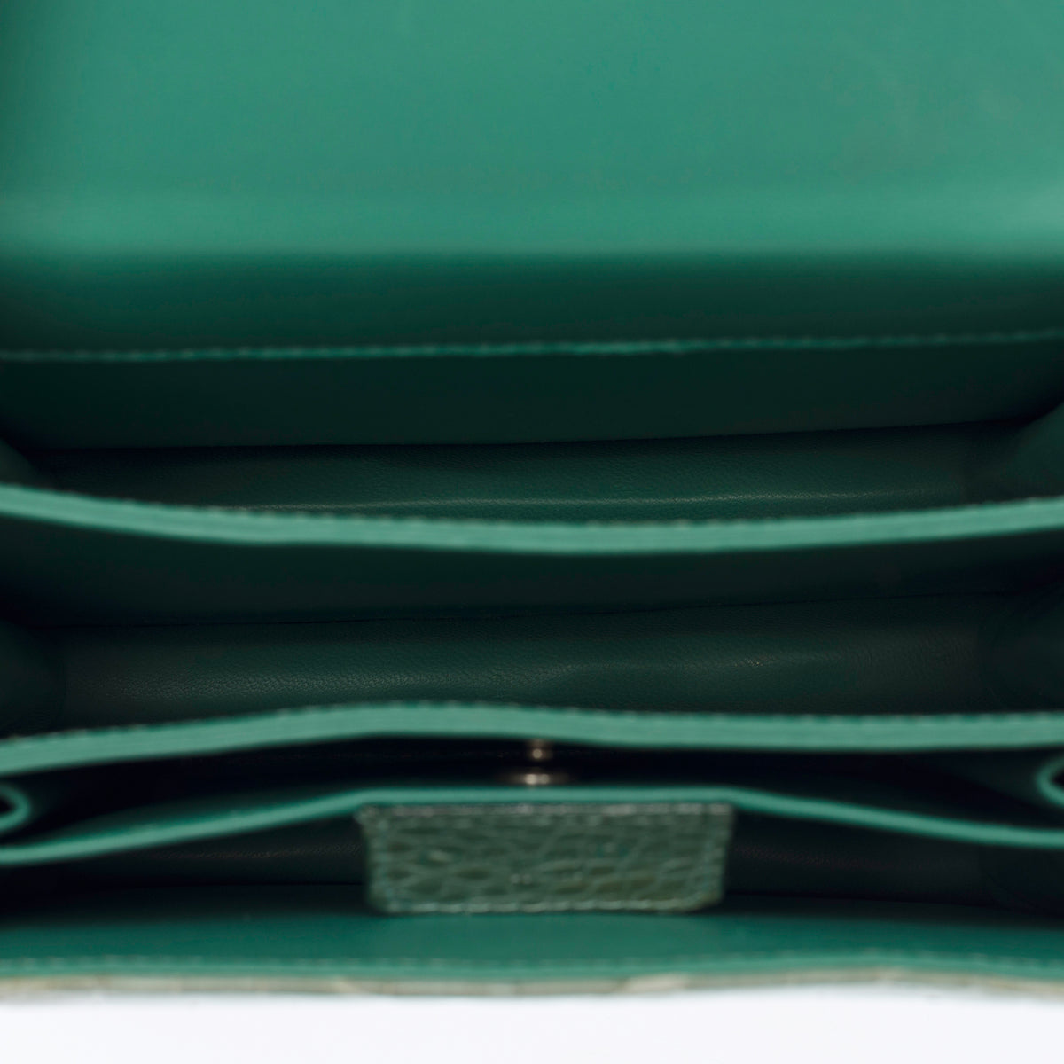 Sac DIOR en Cuirs exotiques Vert - 104029