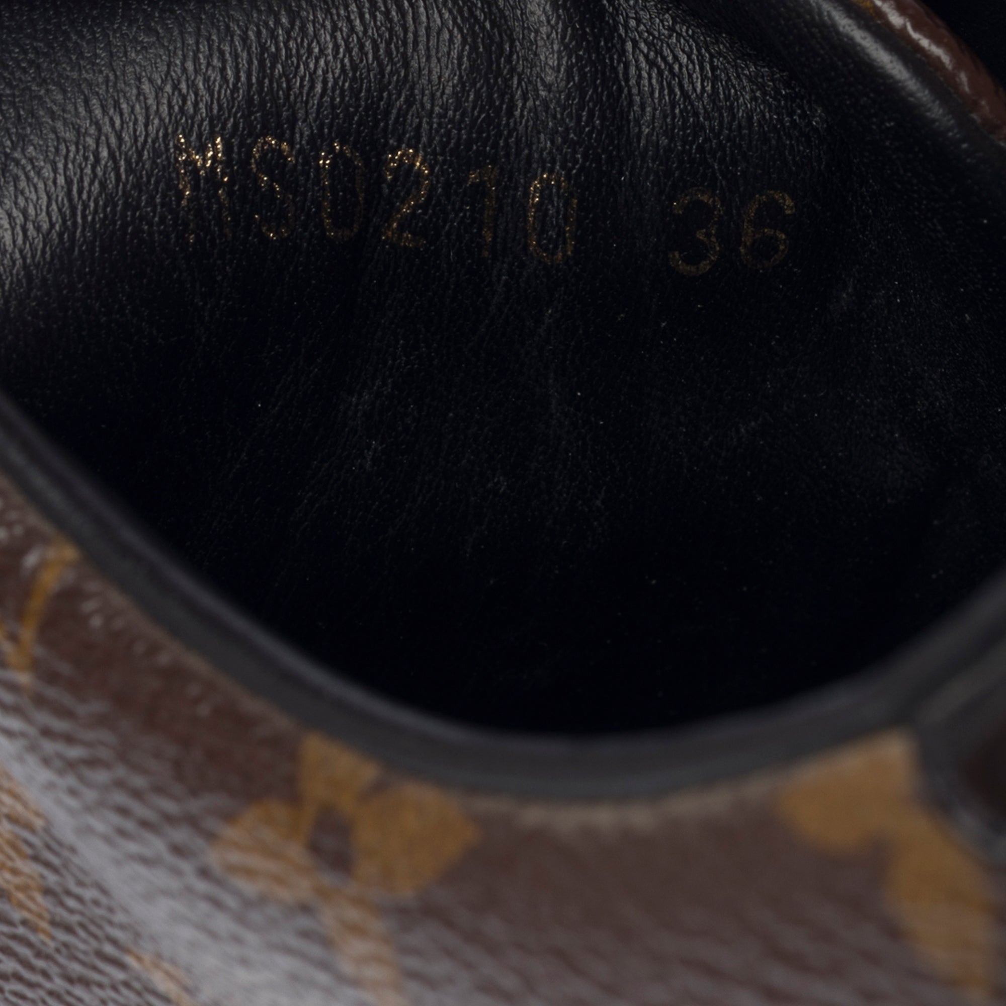 Chaussure LOUIS VUITTON FrontRow en Toile Marron - 103244