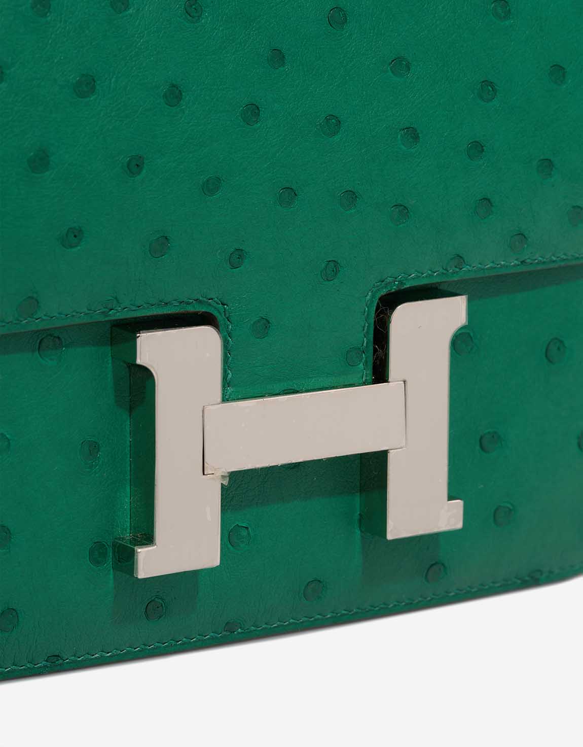 Sac HERMES Constance en Cuirs exotiques Vert - 103230