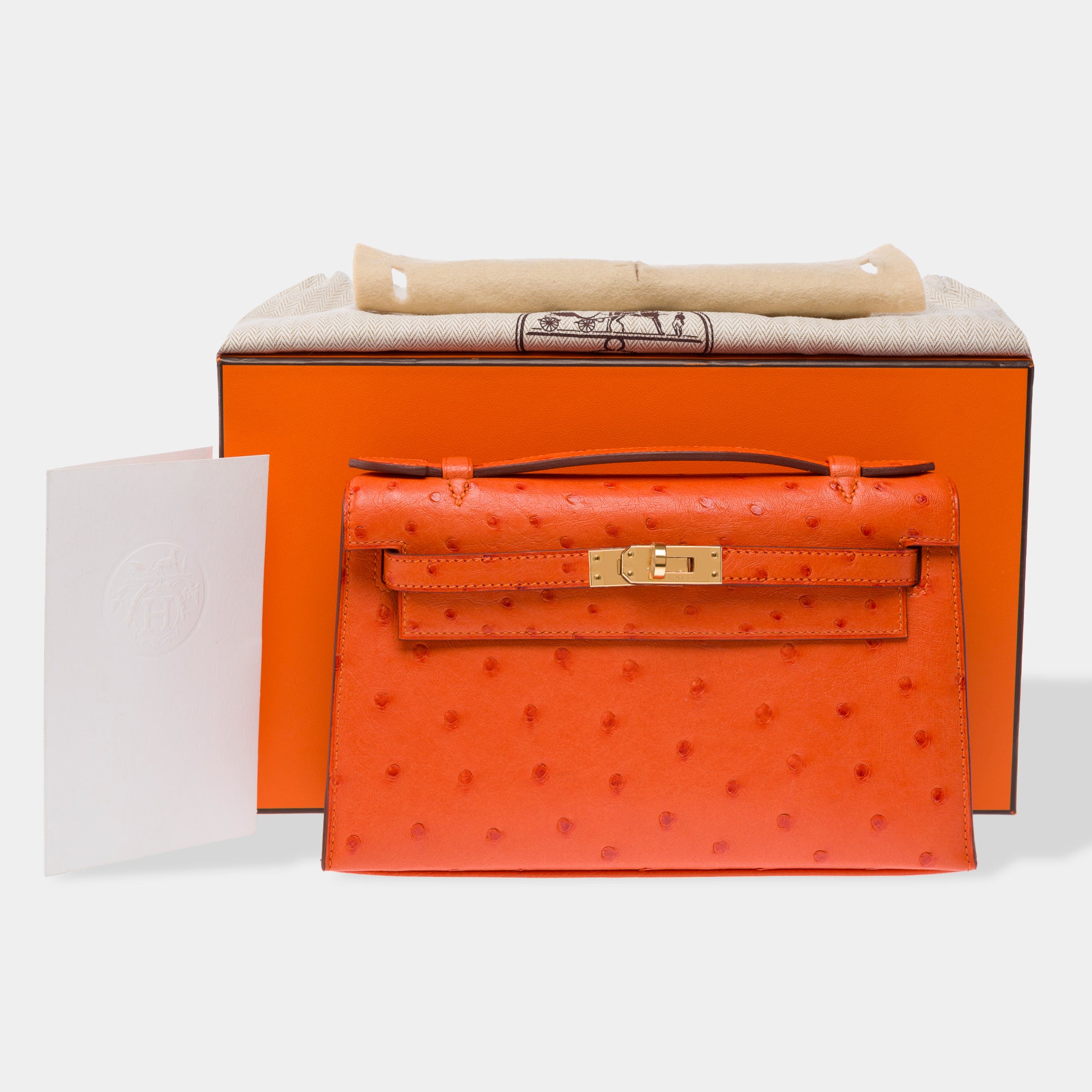 Sac HERMES Kelly Mini en Cuirs exotiques Orange - 103364