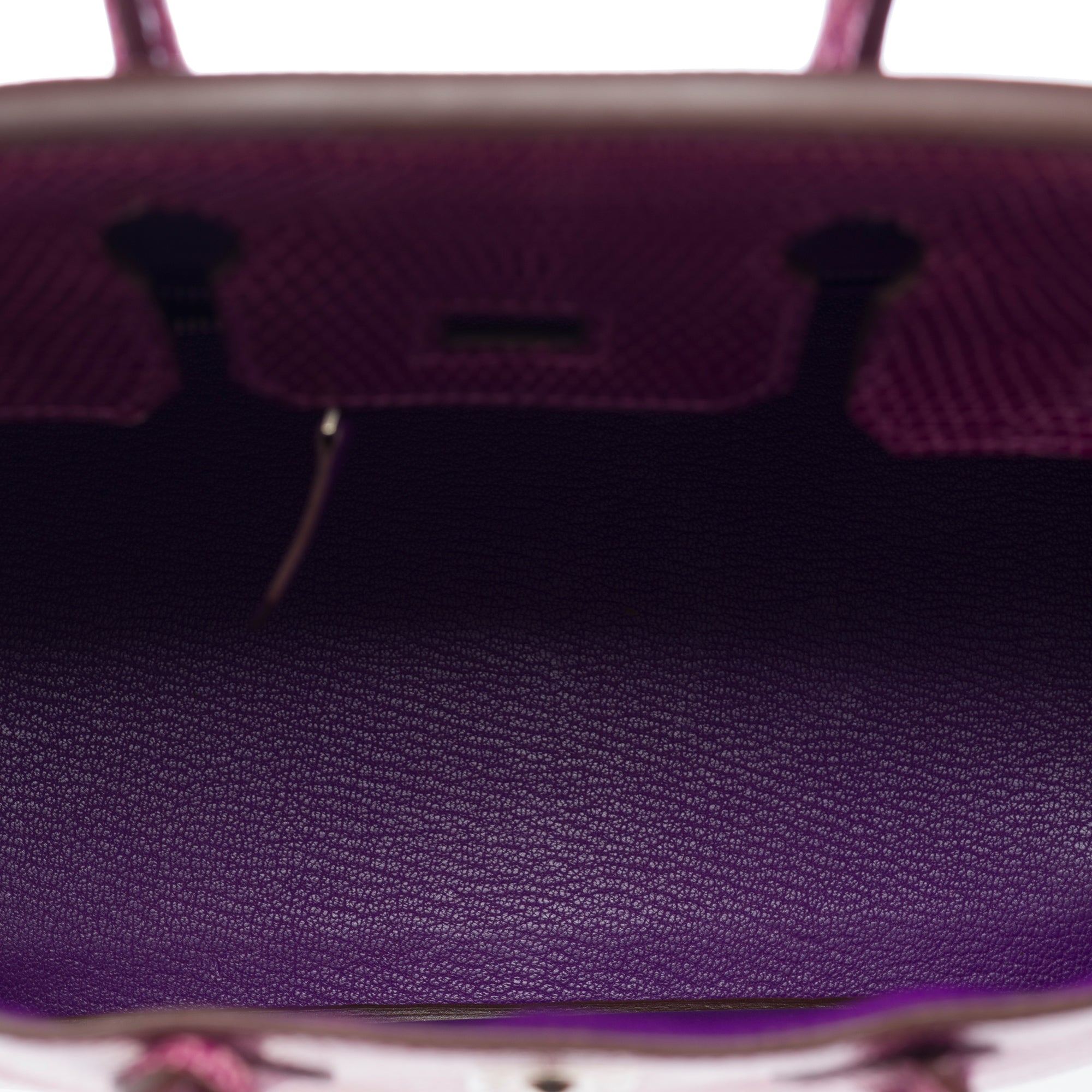 Sac HERMES Birkin 25 en Cuirs exotiques Violet - 103358