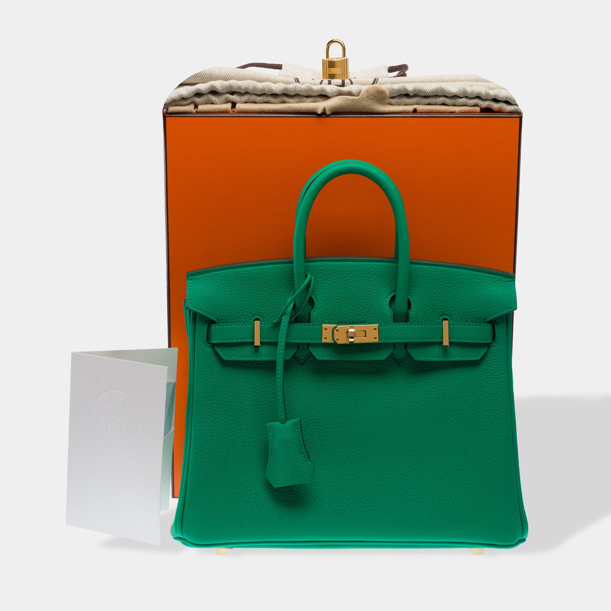 Sac HERMES Birkin 25 en Cuir Vert - 103385