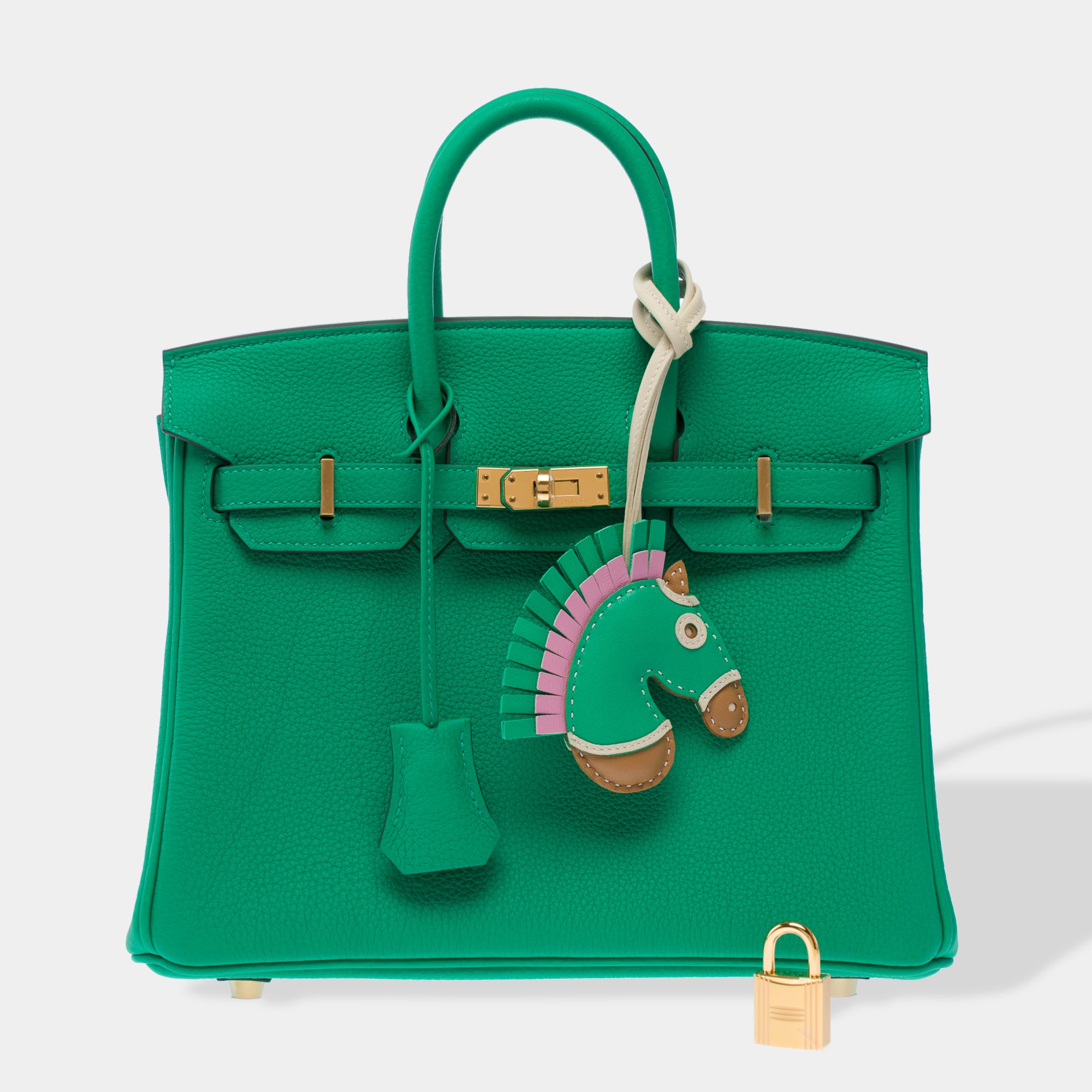 Sac HERMES Birkin 25 en Cuir Vert - 103385