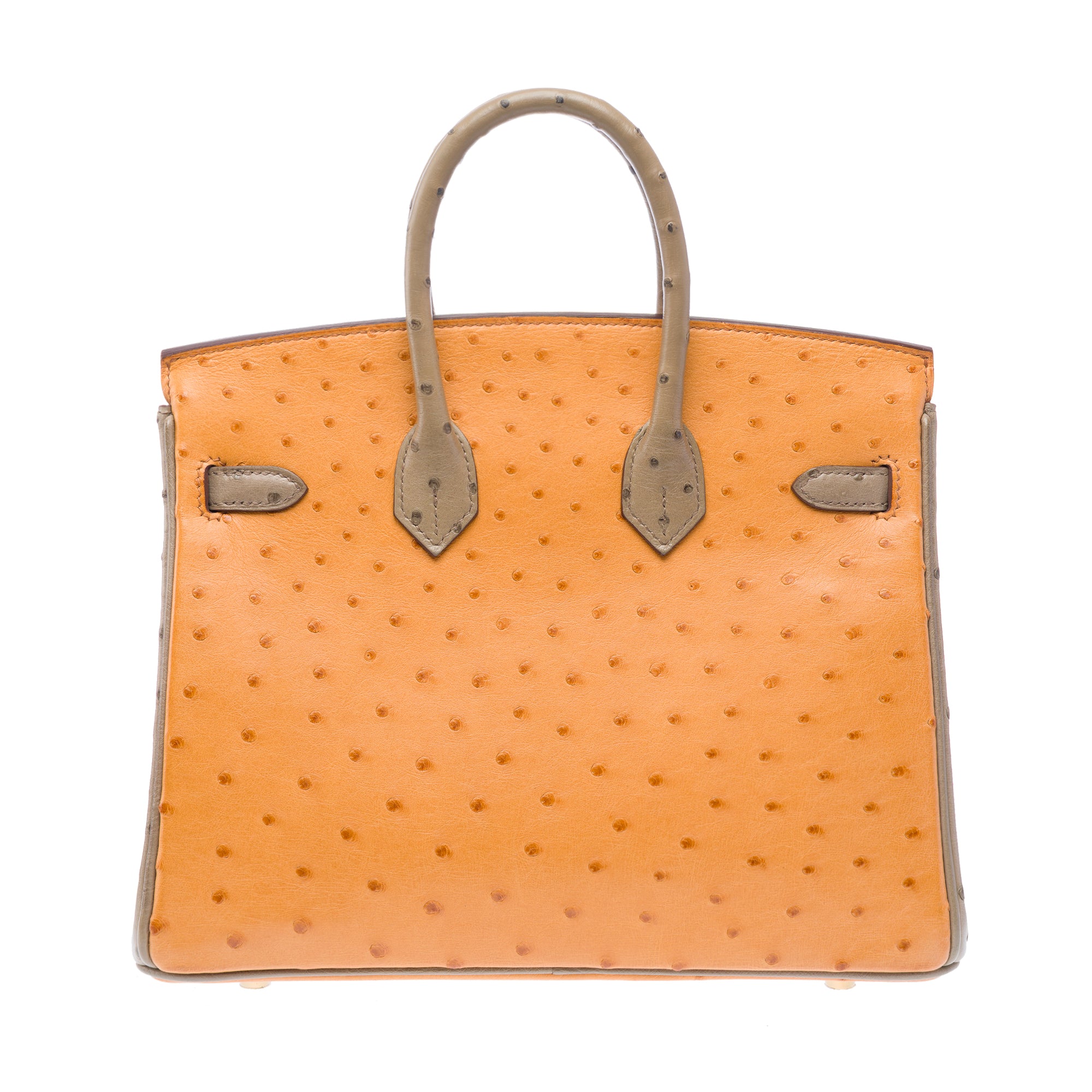 Sac HERMES Birkin 25 en Cuirs exotiques Marron - 103410