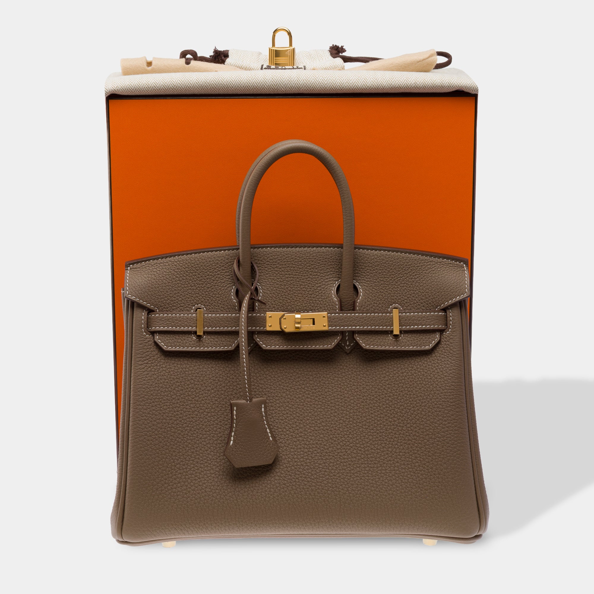 Sac HERMES Birkin 25 en Cuir Étoupe - 103838