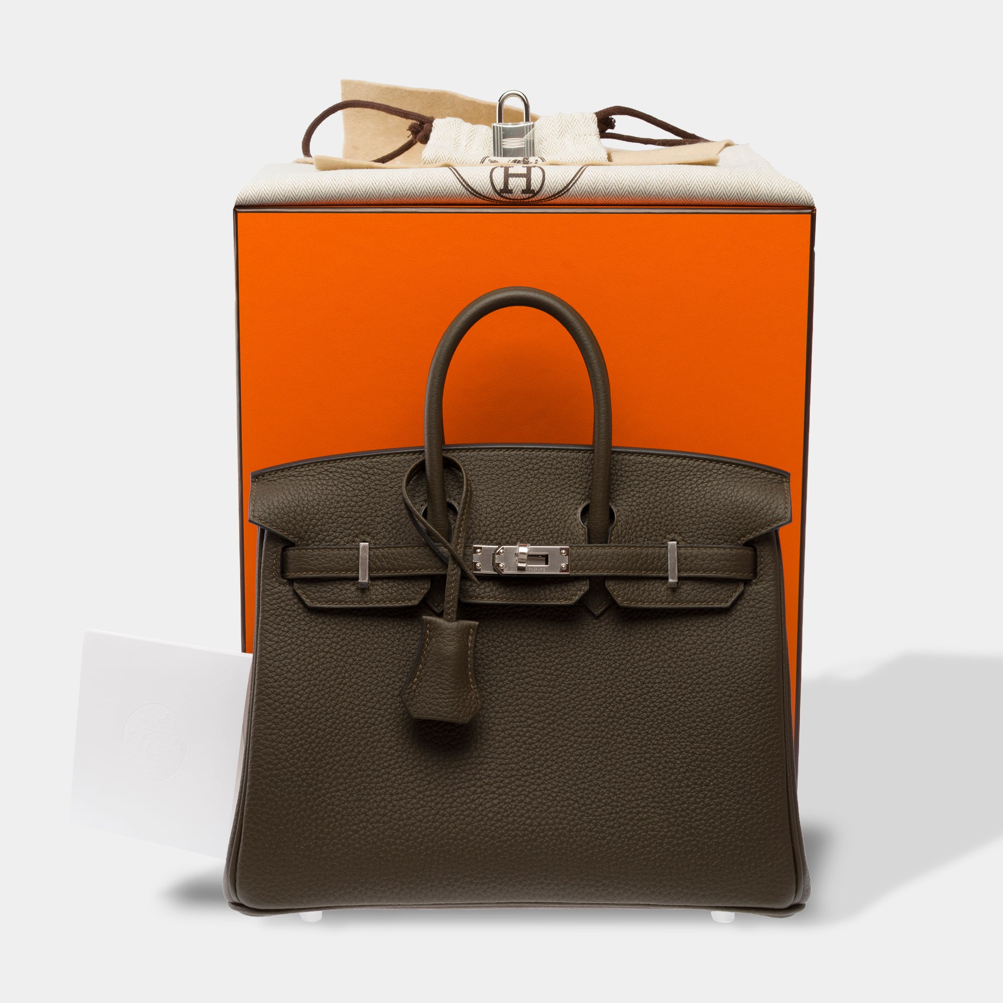 Sac HERMES Birkin 25 en Cuir Vert - 103874