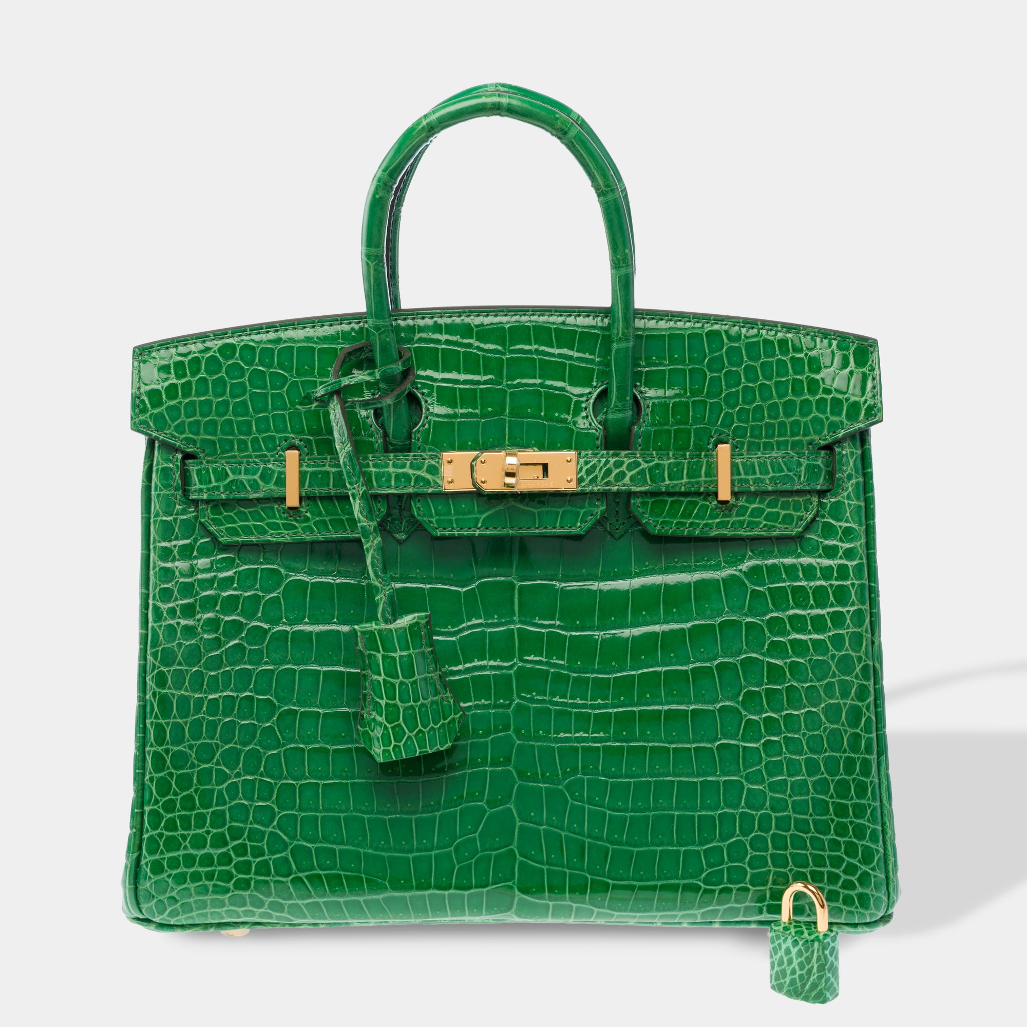Sac HERMES Birkin 25 en Cuirs exotiques Vert - 103879