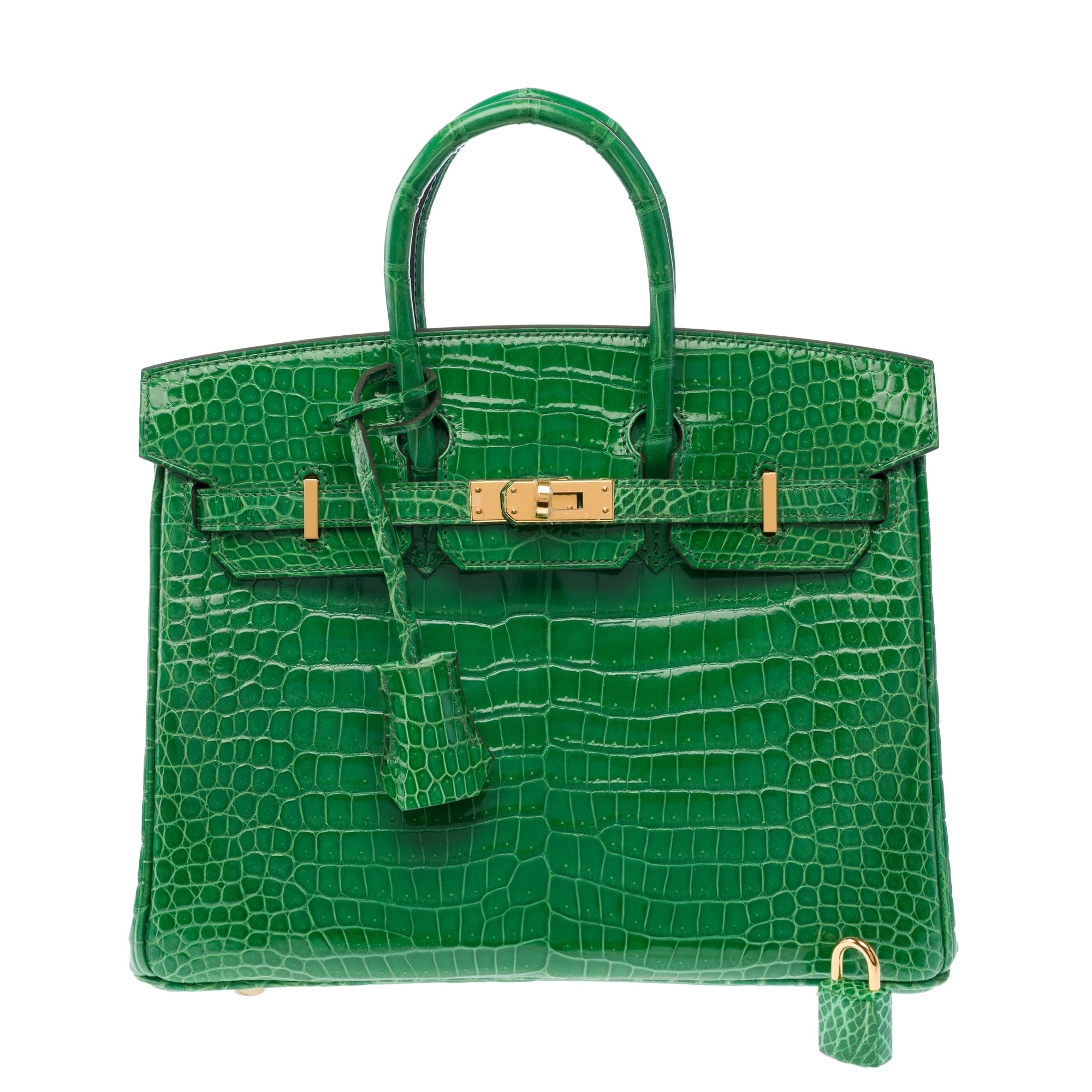 Sac HERMES Birkin 25 en Cuirs exotiques Vert - 103879
