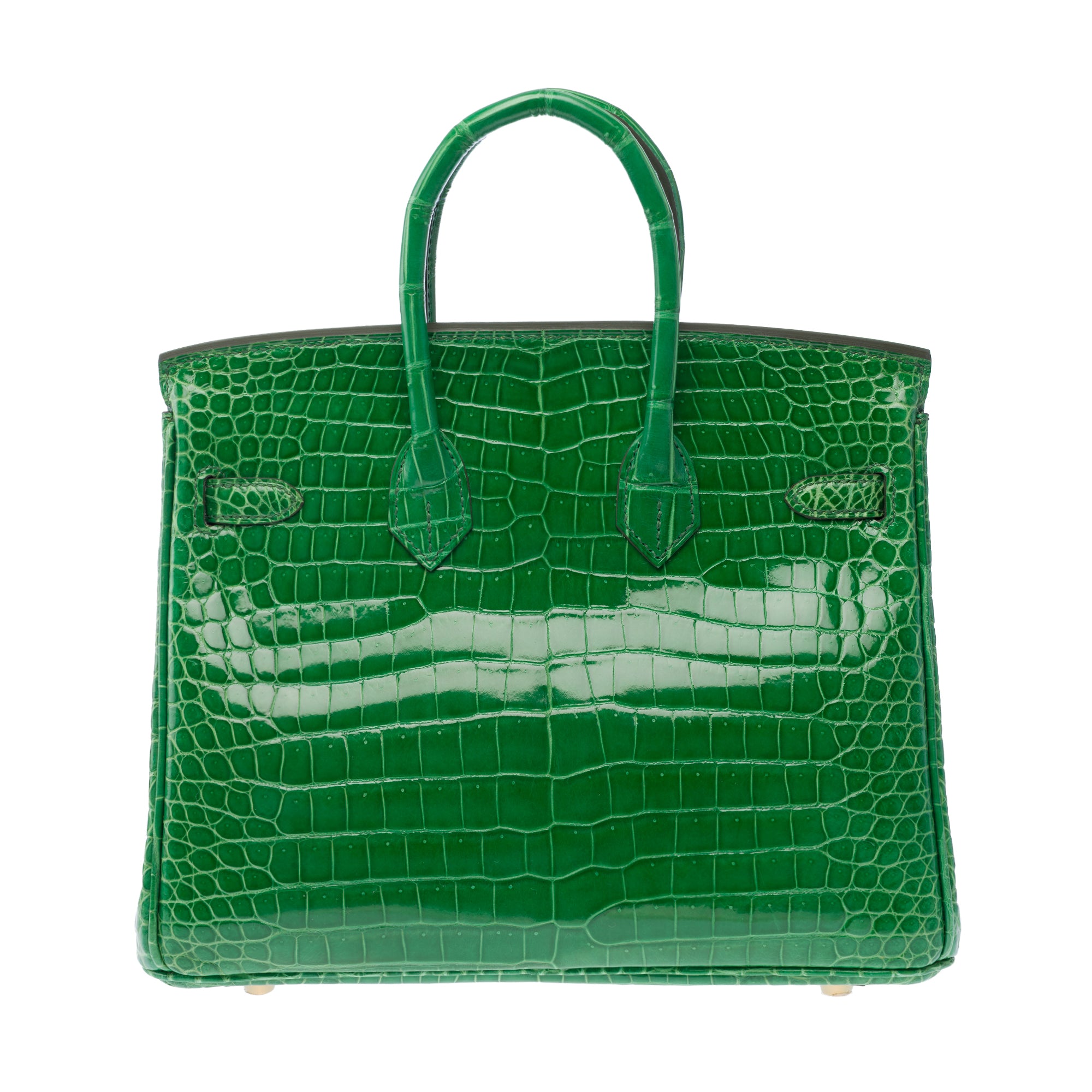 Sac HERMES Birkin 25 en Cuirs exotiques Vert - 103879