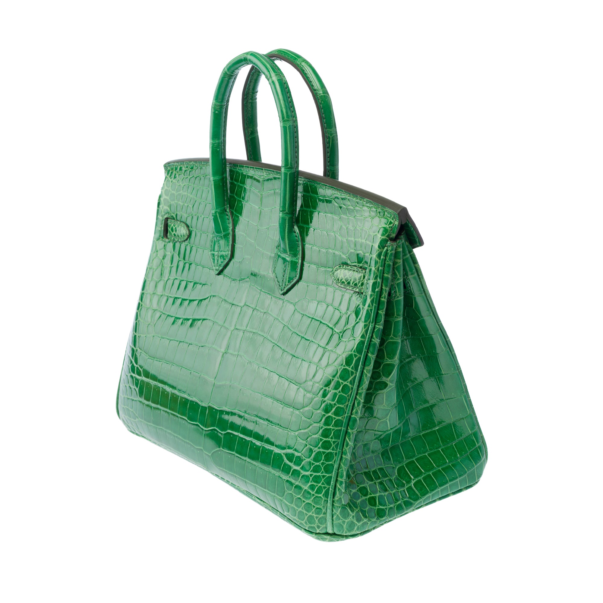 Sac HERMES Birkin 25 en Cuirs exotiques Vert - 103879