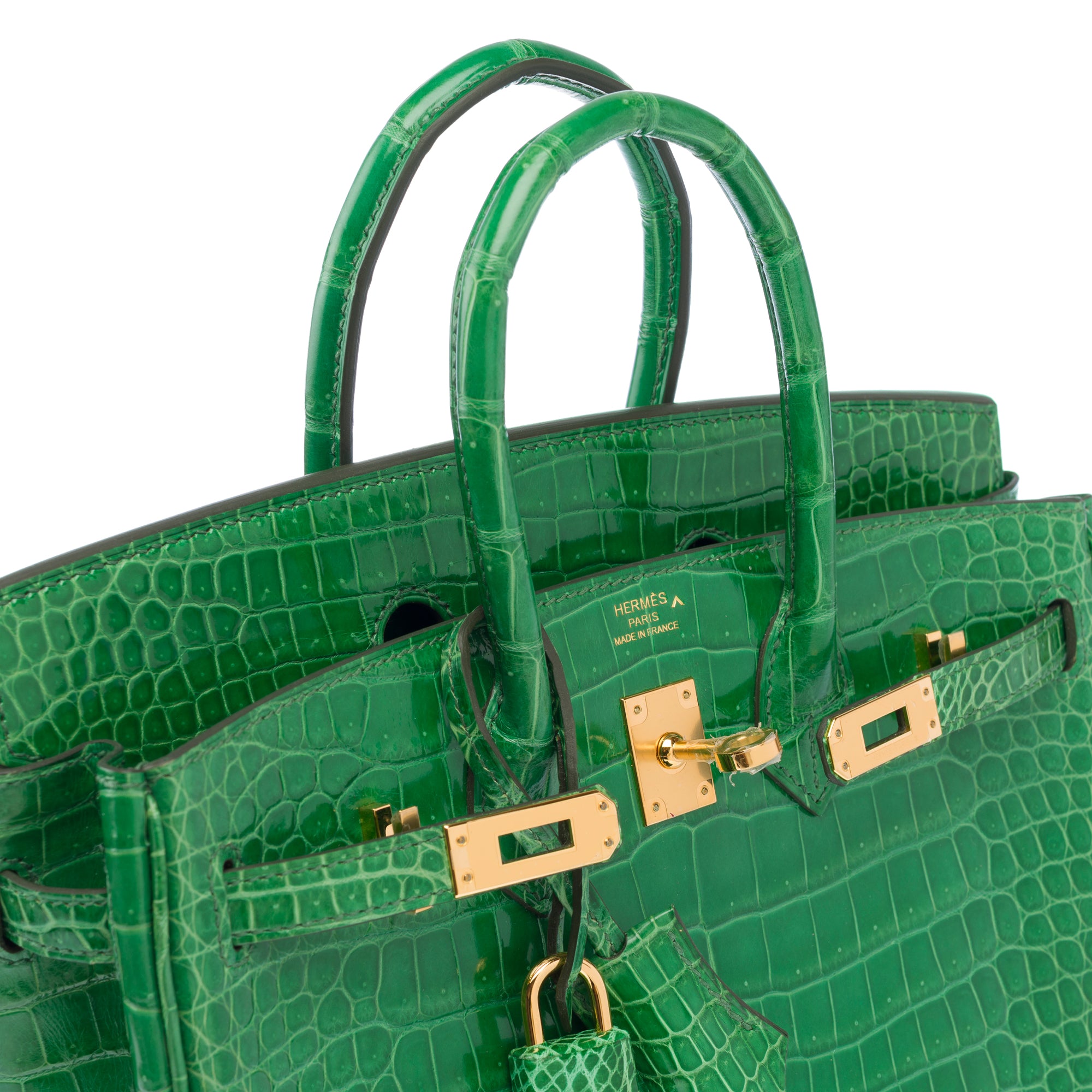 Sac HERMES Birkin 25 en Cuirs exotiques Vert - 103879