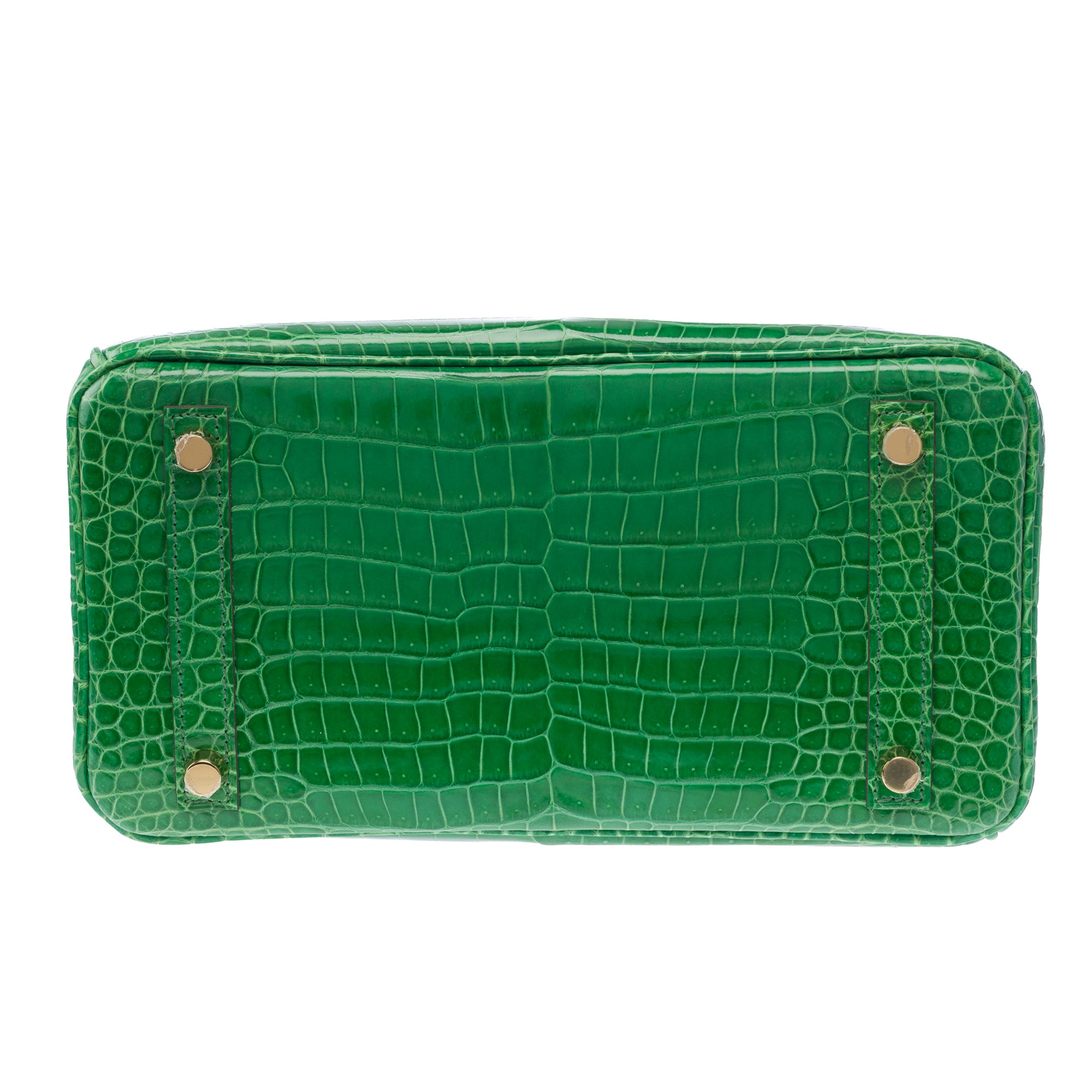 Sac HERMES Birkin 25 en Cuirs exotiques Vert - 103879